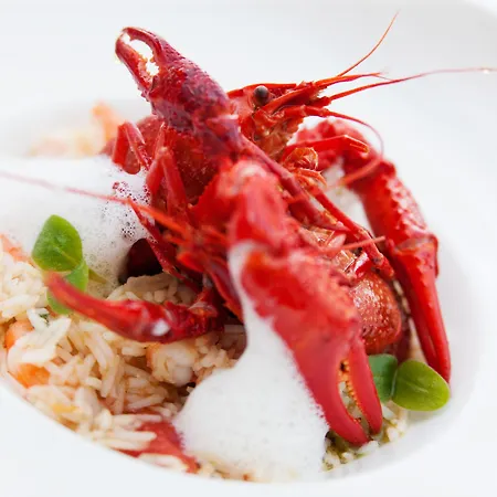 Habakuk Wellness & Event Hotel Marburgo
